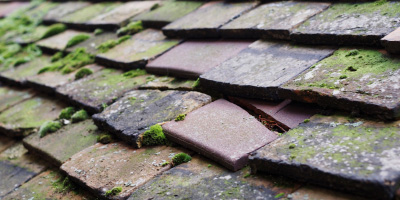 Chelsfield roof repair costs